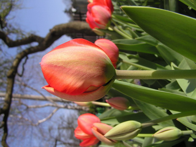 P1010002.jpg